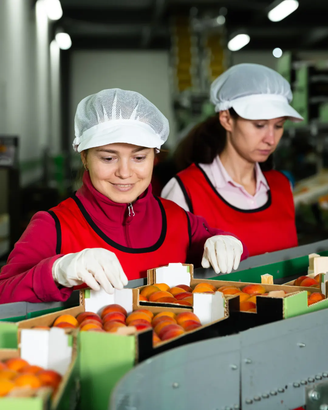 Medewerkers sorteren fruit aan de productielijn in de voedselproductie